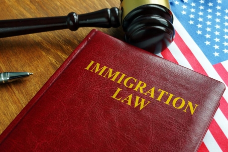 Immigration Law