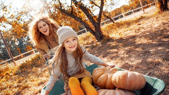 Child Custody
